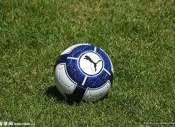 英格兰乒坛,新纪录,皮切福德击,欧博娱乐,欧博娱乐官网